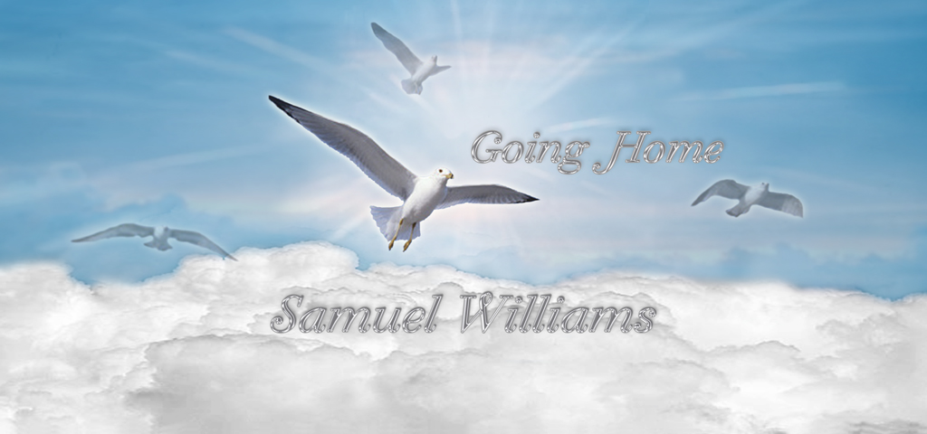 Going Home Blue (Samuel Williams) PROOF